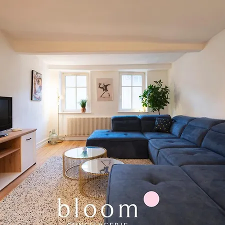 Апартаменты Le Prestige Place Carriere De Standing *